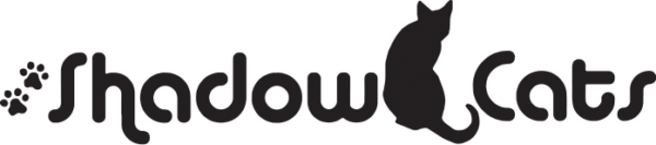 Here Is organization name